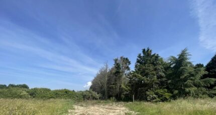 L'Île-d'Olonne Maison neuve - 2441901-11105annonce1202602260FROQ.jpeg Maisons France Confort