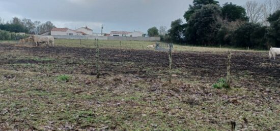 Terrain à bâtir à , Vendée