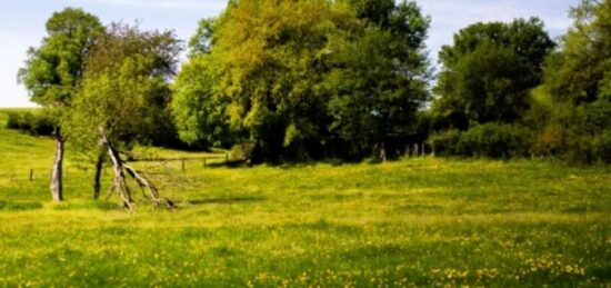 Terrain à bâtir à Notre-Dame-de-Monts, Pays de la Loire