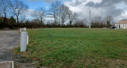 Palluau Maison neuve - 2410585-11728annonce120260128JiS0w.jpeg Maisons France Confort