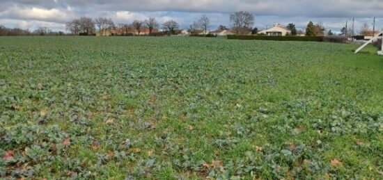 Terrain à bâtir à Legé, Pays de la Loire