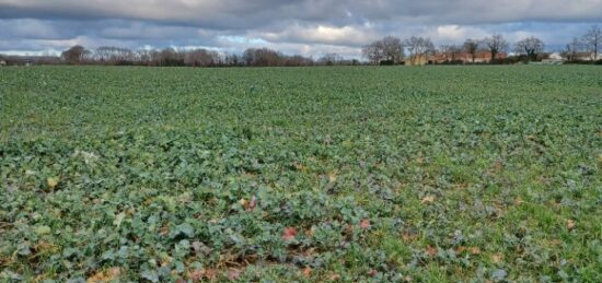 Terrain à bâtir à , Loire-Atlantique