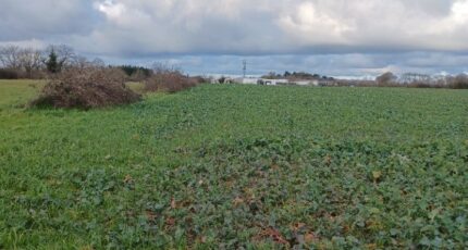 Legé Terrain à bâtir - 2417920-11728annonce420260204mqfIW.jpeg Maisons France Confort