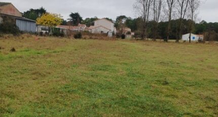 Notre-Dame-de-Monts Terrain à bâtir - 2435098-11728annonce420260219pBtNG.jpeg Maisons France Confort