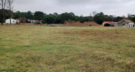 Notre-Dame-de-Monts Maison neuve - 2435103-11728annonce220260219gxlQX.jpeg Maisons France Confort