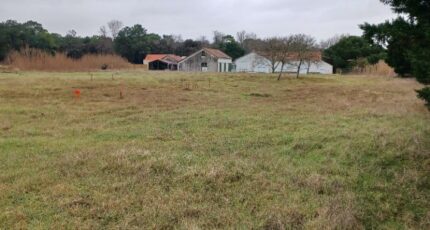 Notre-Dame-de-Monts Maison neuve - 2435099-11728annonce120260219TJOxU.jpeg Maisons France Confort