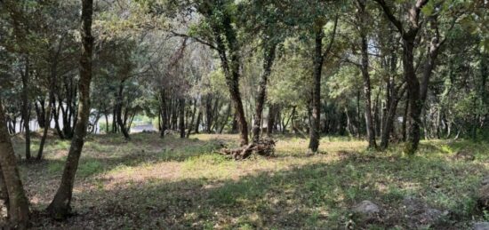 Terrain à bâtir à , Alpes-Maritimes