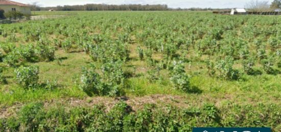 Terrain à bâtir à Onard, Nouvelle-Aquitaine