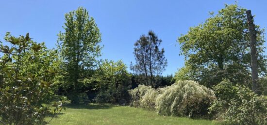 Terrain à bâtir à Landiras, Nouvelle-Aquitaine