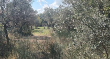 La Bastide-des-Jourdans Maison neuve - 2443147-9917annonce320260227oKFxk.jpeg Maisons France Confort