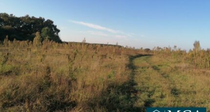 Préchacq-les-Bains Maison neuve - 2443175-5828annonce1202503140zKRG.jpeg Maisons France Confort