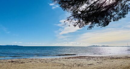 Carqueiranne Terrain à bâtir - 2409812-9707annonce2202601288OSAz.jpeg Maisons France Confort