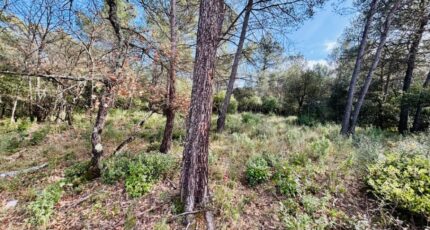 Rocbaron Maison neuve - 2409567-9707annonce120260128i4K6x.jpeg Maisons France Confort