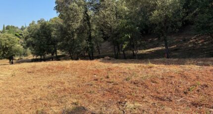 Taradeau Maison neuve - 2409627-9707annonce520260128L9aZn.jpeg Maisons France Confort