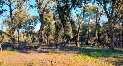 Le Thoronet Maison neuve - 2443227-10744annonce320260225HEepH.jpeg Maisons France Confort