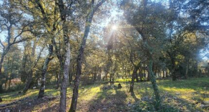 Le Thoronet Maison neuve - 2443236-10744annonce2202602250ZXmy.jpeg Maisons France Confort