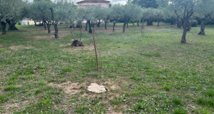 Lorgues Maison neuve - 2443378-3951annonce120260227Zhv7a.jpeg Maisons France Confort