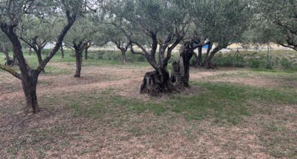 Lorgues Maison neuve - 2443376-3951annonce220260227bZHey.jpeg Maisons France Confort