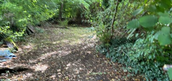 Terrain à bâtir à Andernos-les-Bains, Nouvelle-Aquitaine