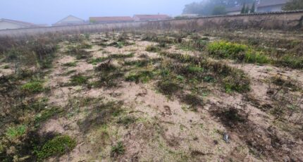 Lancié Terrain à bâtir - 2441182-11092annonce420250623Dh6TT.jpeg Maisons France Confort