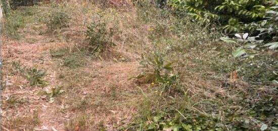Terrain à bâtir à Cadillac, Nouvelle-Aquitaine