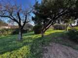 Terrain à bâtir à Puget-sur-Argens (83480) 2444174-3701annonce320260228gAVmf.jpeg Maisons France Confort