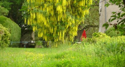 Quincy-Voisins Maison neuve - 2444279-10626annonce120260228ml0XL.jpeg Maisons France Confort