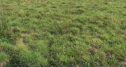 Juvigny-sous-Andaine Terrain à bâtir - 2348717-1153annonce1202511256Tv3x.jpeg Maisons France Confort