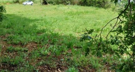 Puget-sur-Argens Maison neuve - 2362456-11157annonce120251209hVoAN.jpeg Maisons France Confort