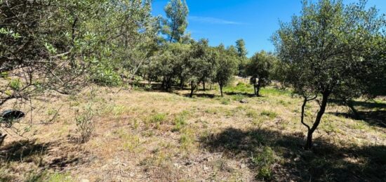 Terrain à bâtir à , Var
