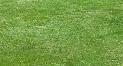 Saint-Sulpice-de-Cognac Maison neuve - 2363302-10974annonce120251210BzDX2.jpeg Maisons France Confort