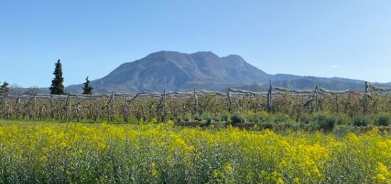 Terrain à bâtir à , Hautes-Alpes