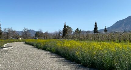 Ventavon Terrain à bâtir - 2364808-3921annonce120251211vWfVd.jpeg Maisons France Confort