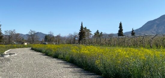 Terrain à bâtir à Ventavon, Provence-Alpes-Côte d'Azur