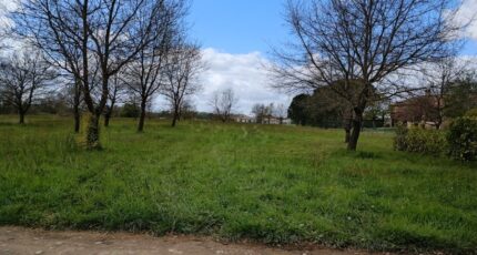 Noé Terrain à bâtir - 2367251-10326annonce120251212U8sOS.jpeg Maisons France Confort