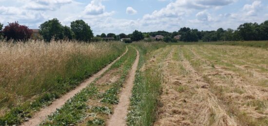 Terrain à bâtir à Bérat, Occitanie