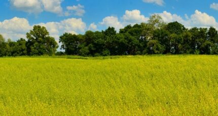 Gujan-Mestras Terrain à bâtir - 2352359-11600annonce120251128vvsvn.jpeg Maisons France Confort