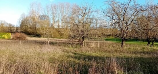 Terrain à bâtir à Chadenac, Nouvelle-Aquitaine