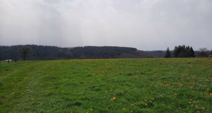 Roannes-Saint-Mary Terrain à bâtir - 2380847-6000annonce220260105AkBGX.jpeg Maisons France Confort