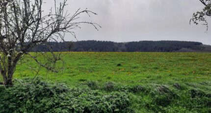 Roannes-Saint-Mary Terrain à bâtir - 2380847-6000annonce420260105rFDIM.jpeg Maisons France Confort