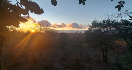 Barjac Terrain à bâtir - 2381525-5100annonce220260105TXXzL.jpeg Maisons France Confort