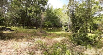 Flayosc Terrain à bâtir - 2381620-10295annonce120260105dRsJV.jpeg Maisons France Confort