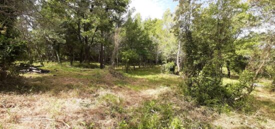 Terrain à bâtir à Flayosc, Provence-Alpes-Côte d'Azur