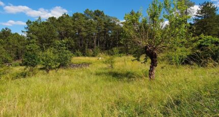 Chambonas Maison neuve - 2381645-5100annonce120260105Z3Ja2.jpeg Maisons France Confort