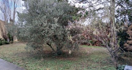 Marsillargues Terrain à bâtir - 2382023-11040annonce120260105Nx7r4.jpeg Maisons France Confort