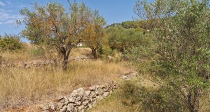 Lorgues Terrain à bâtir - 2382178-10295annonce120260106Gk6e8.jpeg Maisons France Confort