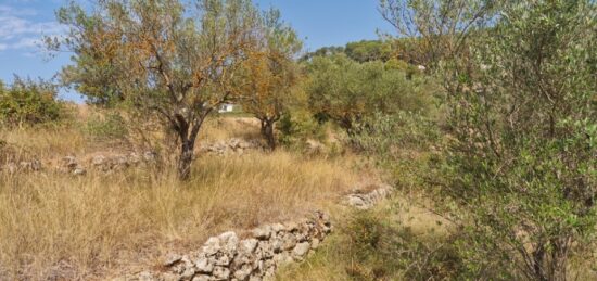Terrain à bâtir à Lorgues, Provence-Alpes-Côte d'Azur