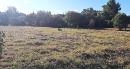 Fréjus Terrain à bâtir - 2383524-10295annonce220260107ekzaX.jpeg Maisons France Confort