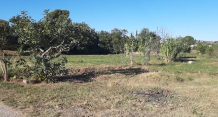 Fréjus Terrain à bâtir - 2383524-10295annonce320260107mgEUT.jpeg Maisons France Confort