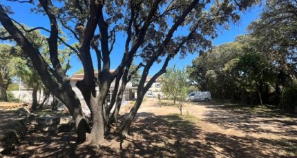 Castries Terrain à bâtir - 2383656-3243annonce220250917Tsn5S.jpeg Maisons France Confort